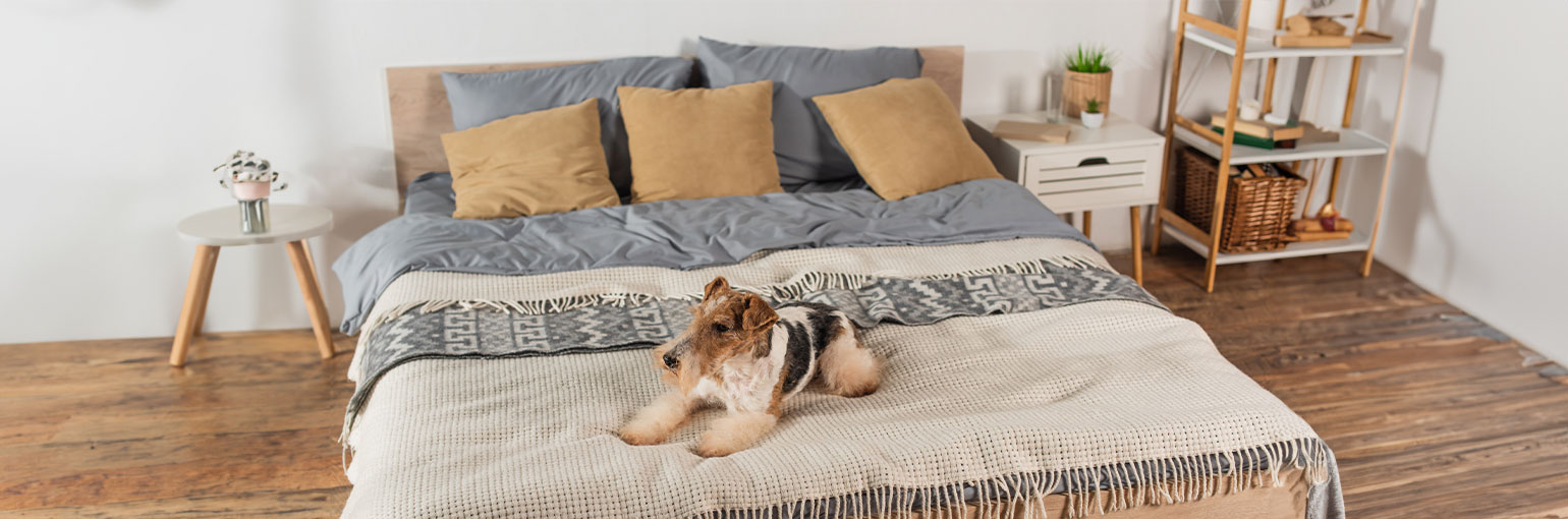 California King Beds